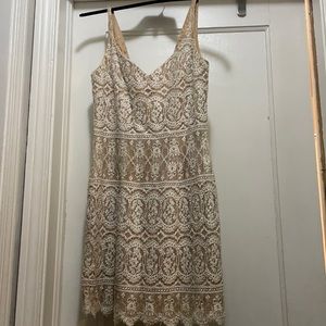 White Lace illusion beaded dress by Cache